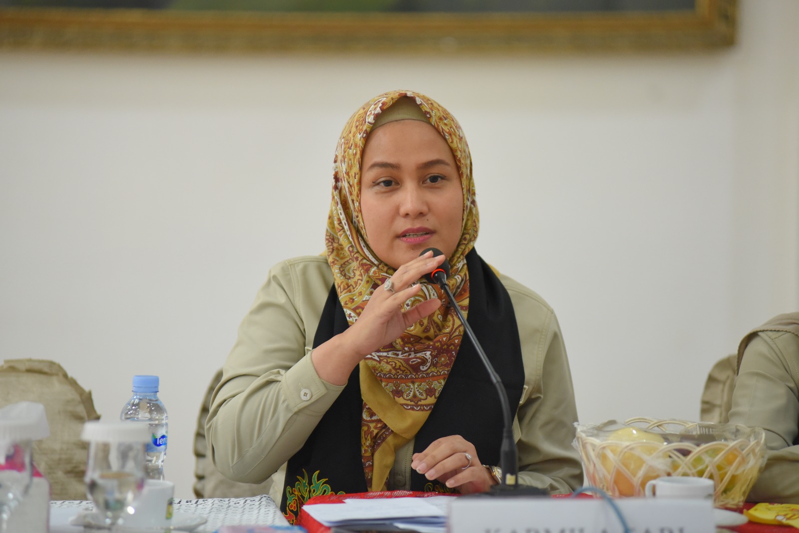 Anggota Badan Legislasi DPR RI, Karmila Sari